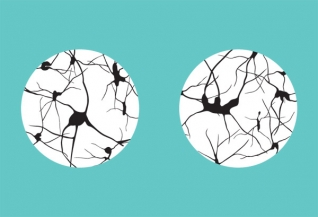 Font: neurons, Designer: LI Yan Yee, Joyce